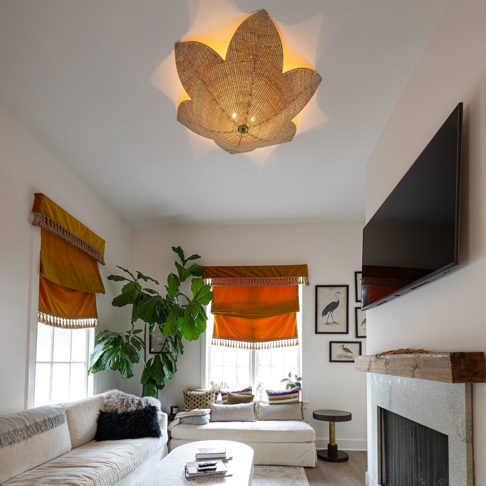 Victoria Flush Mount / Sconces